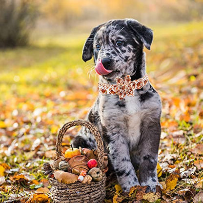 Dog Collar with Flower - Thanksgiving Turkey Print Puppy Collar Gift Puppy Soft Collar Pet Flower Adjustable Collars for Small Dogs - color: Turkey, size: Small (Pack of 1)