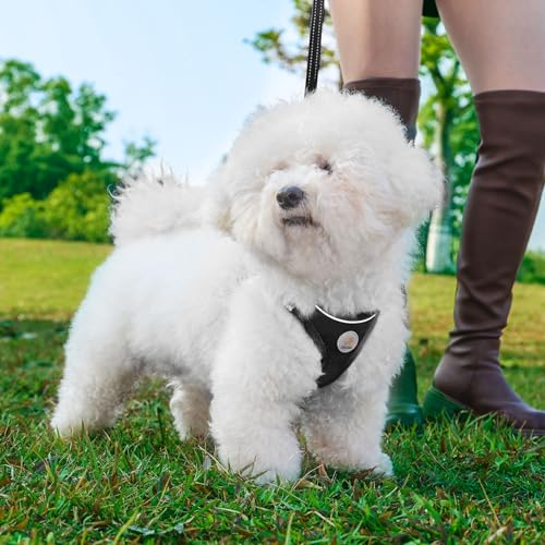 Dog Harness and Leash Set, No Pull Soft Mesh Puppy Harness for Small Medium Dogs, Cats - Step in Adjustable Reflective Pet Harness with Buckle and Double D-Rings - Black, XS - color: Black, size: XS (Chest: 12.5"-14")