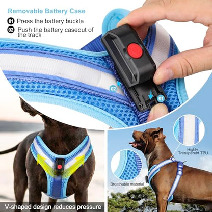 Light Up Dog Harness, LED Dog Harness Rechargeable, Glow in the Dark, LED Dog Vest Reflective, Light Up Harness for Dogs, Dog Lights for Night Walking, Blue, XL - color: Blue
