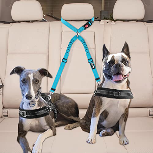 Lukovee Double Dog Seat Belt, New Dual Pet Car Headrest Restraint Safety Seatbelt No Tangle Dog Leash Duty Adjust Elastic Bungee Puppy Lead Splitter Connect Harness in Vehicle Travel for 2 Dogs (TBL) - color: Light Blue