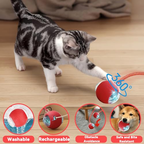 Speedy 2.0 Tail 2 Packs Interactive Cat Toys for Indoor Cats, Automatic Cat Toy with Elastic Mesh Tail, Electric Rolling Ball on Carpet, Chirping and Motion Activate Cat - color: 2 PC Red+Blue