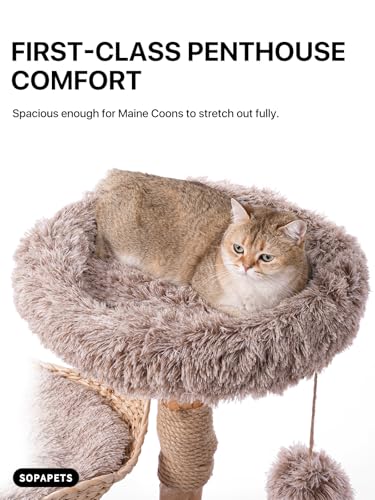 Sopapets Solid Wood Cat Tree for Large Cats, 41.3" Modern Cat Tower with Heavy Duty Real Branch & Hand-Woven Basket, Sisal Scratching Posts & Cozy Bed, Luxury Furniture for Indoor & Maine Coon, Beige - color: Beige