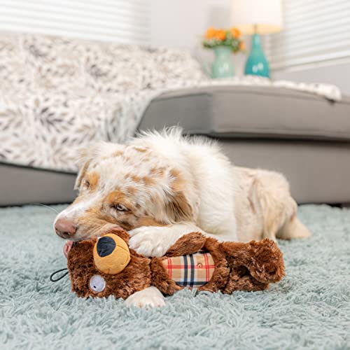 Huxley & Kent Slappies for Dogs | Beary Styles (Small) | Squeak & Shake Dog Toy | No Stuff Squeaky Toy, TPR Ball in Head | Simulates Hunting Nature for Dogs - size: Small, style: Beary Styles