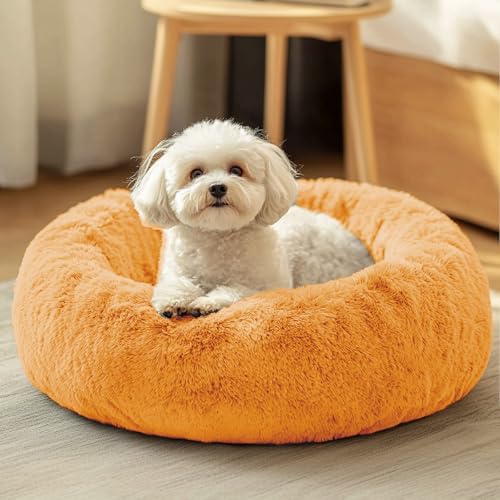 JOLLYVOGUE Dog & Cat Bed, Calming Anti-Anxiety Pet Bed for Small Dogs, Fluffy Donut Cushion for Small and Medium Pets (20") - color: Orange, size: 20"
