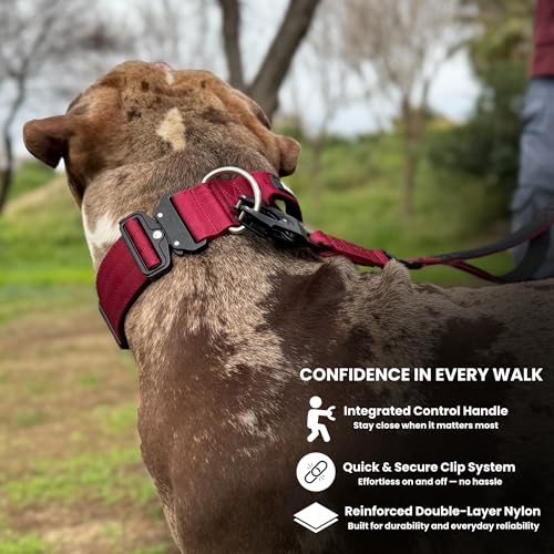 BULLYBREED | Heavy Duty Dog Leash, Tactical Dog Leash, Quick Release Frog Clip with Anti-Tangling Swivel System for Large Dogs that Pull with Soft Double Handles (5 FT Long, Maroon Red) - color: Maroon Red Double Handle
