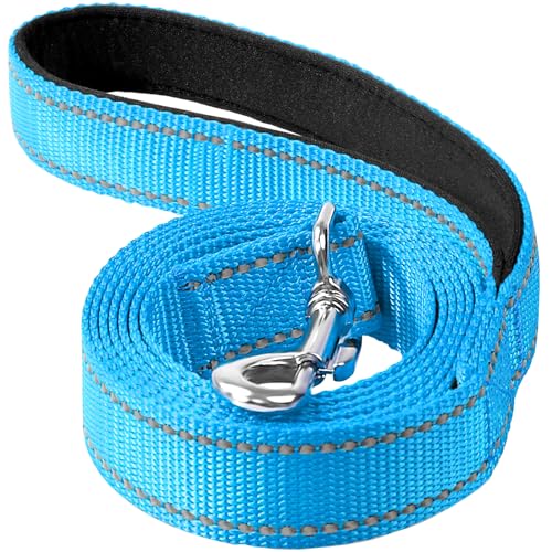 Reflective Dog Leash 4ft Soft Padded Handle Nylon Lead for Small & Medium Dogs, Durable Walking Training Leash for Night Safety (SkyBlue,1Inch Wide) - color: Aqua Blue, size: 1"*4'