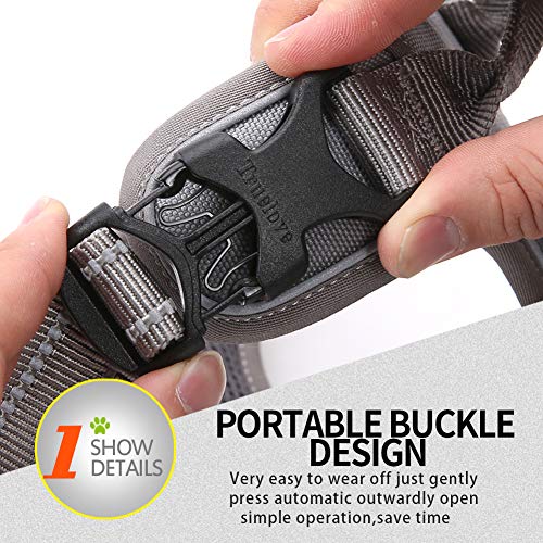 JUXZH Truelove No Pull Dog Harness with Easy Control Handle and 2 Leash Attachments,Reflective Adjustable Pet Vest - color: Gray, size: X-small (Pack of 1)
