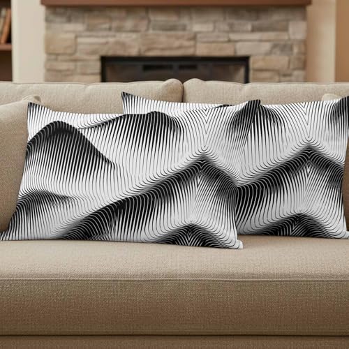 Throw Pillow Covers Set of 2 Abstract Hills Decor Pillow Covers with Zipper Geometric Modern Curves Black White Pillowcase Cushion Cover for Sofa Couch Bed Home 12x20 Inch - color: Black, White, Gray, size: 20" x 12" (Pack of 2)