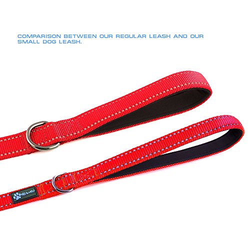 Max and Neo Small Dog Reflective Nylon Leash - We Donate One to Rescue for Every Leash Sold (Red, 4x5/8) - color: RED, size: 4 FT x 5/8" Wide