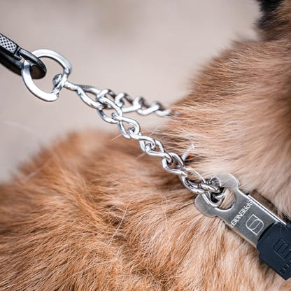 Herm Sprenger Stainless Steel Dog Collar with Short Links and Quick Release ClicLock Buckle Made in Germany (Stainless Steel, 20in x 3.0mm (Neck Size up to 16-17in)) - color: Stainless Steel, size: 3.0 mm x 16-17 in Neck Size; 20 in Chain Length