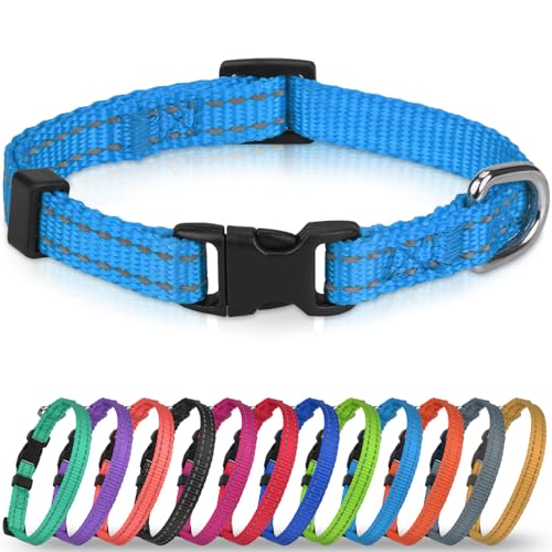 Joytale Puppy Collar, Feather-Light Double-Sided Reflective Nylon Collar for Night Safety, Adjustable Quick-Release for Extra Small Dogs, Sky Blue, XS (3/8" Width) - color: Sky Blue, size: XS: Width 3/8", Neck 8-12"
