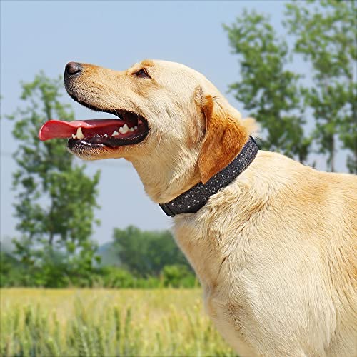 TDTOK Glittering Basic Dog Collar, Comfy & Durable Bling Dog Collar for Small Medium Large Dogs with Eco-Friendly Plastic Buckle, Adjustable Stylish Nylon Dog Collars, Fit Necks: 9.8-22.4’’ - color: Black, size: S