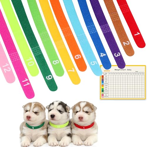 Newborn Puppy Collar Set of 12 with Numbered Tags & Weight Tracker Chart, Soft Adjustable Kitten Collar, Puppy Collars for Litter, Whelping Supplies for Kitten Small Dogs (S/M/L) (L) - size: L