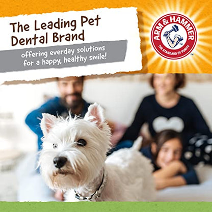 Arm and Hammer for Pets Super Treadz Gator Dental Chew Toy for Dogs - Reduces Plaque and Tartar Without Brushing, Baking Soda Infused, Dishwasher Safe, Dogs Up to 35 Lbs - size: Large (Pack of 1), style: Gator