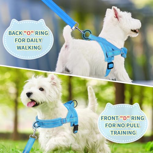 Lukovee No Pull Dog Harness and Leash Set, Soft Padded Small Dog Harness, Neck & Chest Adjustable Reflective Vest Puppy Harness with 4ft Lightweight Anti-Twist Dog Leash for Small Dogs (LBL, XXS) - color: Light Blue, size: XXS ( Chest 11.5'' ~ 15'')