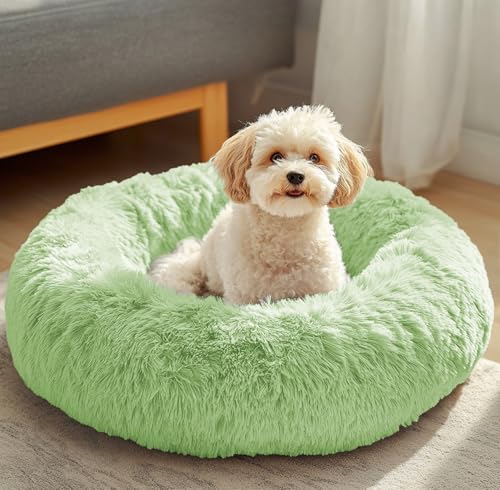 JOLLYVOGUE Dog & Cat Bed, Calming Anti-Anxiety Pet Bed for Small Dogs, Fluffy Donut Cushion for Small and Medium Pets (23") - color: Light Green, size: 23"