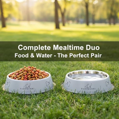 Stainless Steel Dog Bowl Pack of 2, Food & Water Bowl for Dogs, Durable Dog Feeding Bowl, Bowls for Small Dogs, Easy to Clean, Anti-Skid Pet Bowl - 16 oz (Grey) - color: Grey