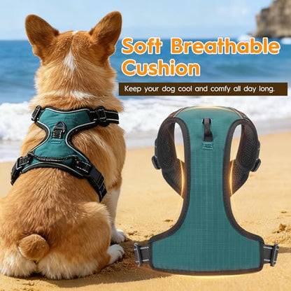 No Pull Dog Harness, No Chock Reflective Adjustable Soft Padded Pet Vest with Easy Control Handle, Easy Wearing with Stylish, Reinforced Knot, 2 Buckles - color: Glacial Teal, size: X-Small