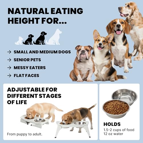 MalsiPree Elevated Dog Bowls for Small Dogs - 6.5" Raised Dog Bowl Stand with Splash Guard - Portable Folding Pet Feeding Station with 2 Stainless Steel Bowls - Travel Road Trip Foldable Collapsible - size: Medium