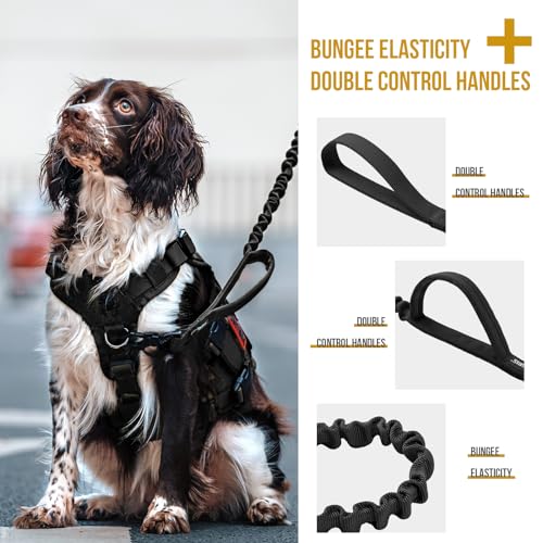 Tactical Dog Training Bungee Leash with 2 Control Handle Quick Release Nylon Leads Rope (Black) - color: Black