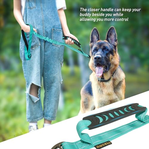 AUBELL Tactical Dog Leash Heavy Duty,4-6ft Reflective Strong No Pull Bungee Leash for Medium Large Dogs with Comfortable Padded Double Handle,Car Seat Belt,360 Degree Rotating Carabiner,Teal - color: M/L-Teal(4-6FT)