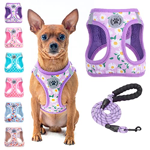 BEAUTYZOO Step in Dog Harness and Leash Set, Floral Pattern Reflective Dog Harness No Pull No Choke Puppy Harness for XXS XS S Dogs Cats, Soft Padded Mesh Vest Harnesses for Girl and Boy Pets - color: Purple Daisy, size: XX-Small(Chest Girth 11.5"-13")