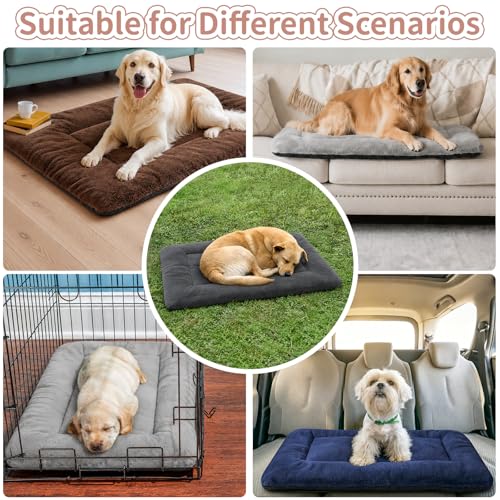 Dog Crate Bed Washable, Plush Anti-Slip Kennel Pad with Soft Flat Cushioning, Home Crate Use, Travel, and Training in Metal or Plastic Dog Cages, 24 x 18 Inch, Grey - color: Grey, size: 24.0"L x 18.0"W x 1.5"Th