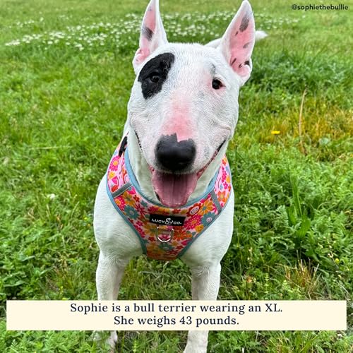 Lucy & Co. The Y2K Baby No-Pull Dog Harness - Size Small - Vest to Stop Pulling & Walk Easy - Comfortable Leash Training Product w/Adjustable Chest & Neck Straps - color: The Y2K Baby No-Pull Harness, size: Small