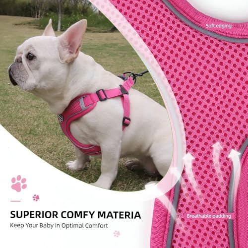 Dog Harness and Leash Set, Adjustable Triangle, Reflective Adjustable Puppy Vest, No Pull Soft Mesh Harness for Small, Medium Dogs, Cats (Fuchsia, L) - color: Fuchsia, size: L
