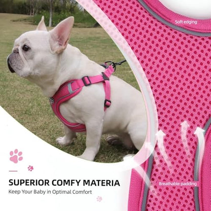 Dog Harness and Leash Set, Adjustable Triangle, Reflective Adjustable Puppy Vest, No Pull Soft Mesh Harness for Small, Medium Dogs, Cats (Fuchsia, L) - color: Fuchsia, size: L