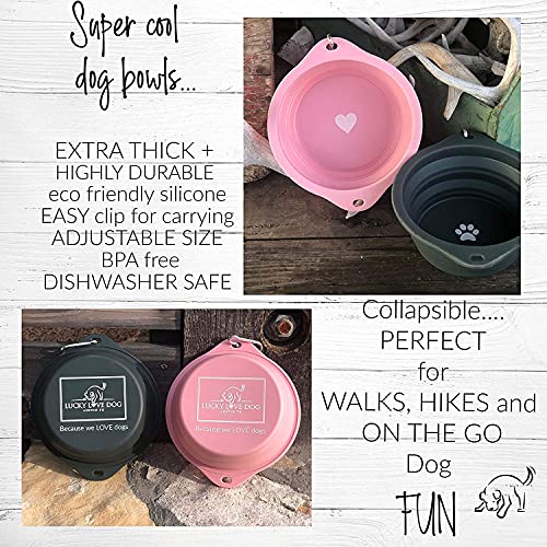 Lucky Love Dog Travel Bowl, Collapsible Compact Water Dog Dish (Grass) - color: Grass