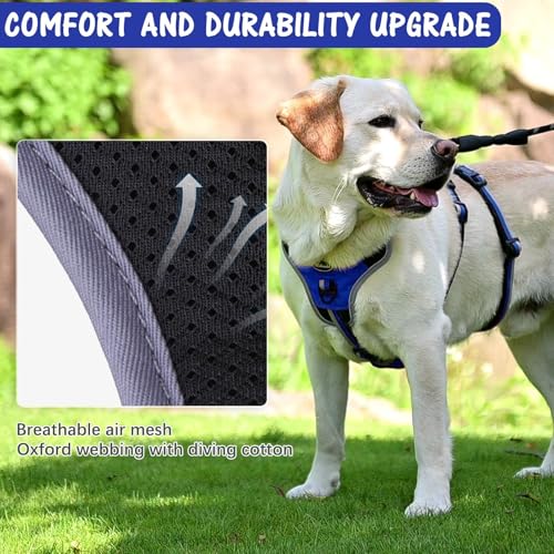 Medium Blue Dog Harness - Escape Proof, No Pull, Reflective, Adjustable, Modern Style with Handle and D-Ring for Walking, Hiking, Training and Running - color: Blue, size: Medium
