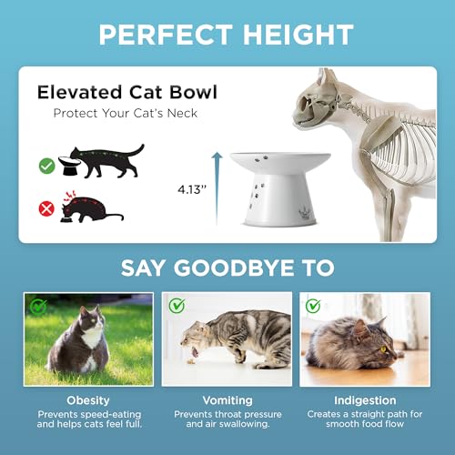 Necoichi Elevated Cat Food Bowl, Ceramic (Porcelain), Whisker-Friendly, Dishwasher & Microwave Safe, Non-Slip Silicone Base, Anti-Vomiting & Neck Fatigue (Cats, Extra Wide, 2-Cups Capacity) - color: Cat, size: Large Extra Wide Flat (2 Cups)