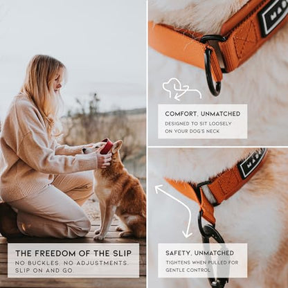 MADE TO ROAM Premium Everyday Dog Collar - Martingale Style No Pull Vegan Leather Collar, Heavy Duty and Lightweight for Small, Medium, Large Dogs (Utah Glow, Size 5) - color: Utah Glow, size: Size 5