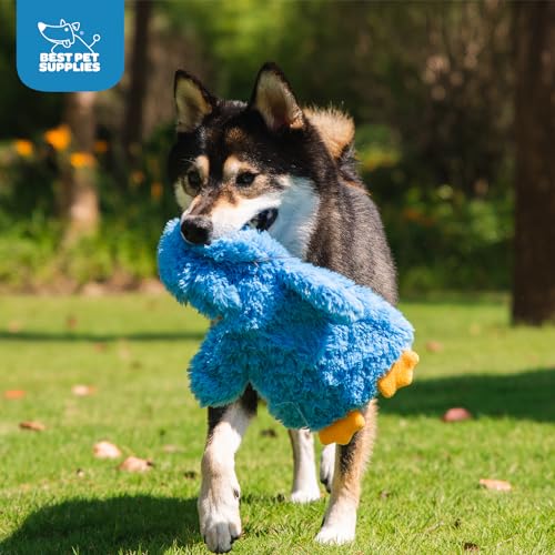 Best Pet Supplies Interactive Squeaky Dog Chew Toy, Ideal Dog Toys for Chewers, Small, Medium & Large Dogs, and Fetch Lovers - Crinkle Chicken (Blue), Large - color: Crinkle Chicken (Blue), size: Large