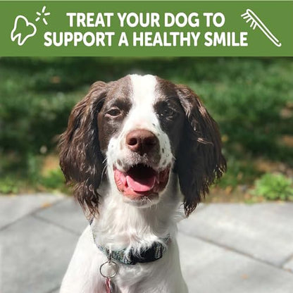 Wellness WHIMZEES Puppy Natural Dog Dental Treat, Chews, Freshens Breath, Extra-Small/Small Size, 7.9 oz Bag, 30 Count - size: 30 Count (Pack of 1)