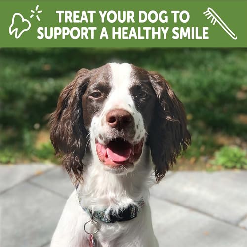 Wellness WHIMZEES Puppy Natural Dog Dental Treat, Chews, Freshens Breath, Medium/Large Size, 7.9 oz Bag, 14 Count - size: 14 Count (Pack of 1)