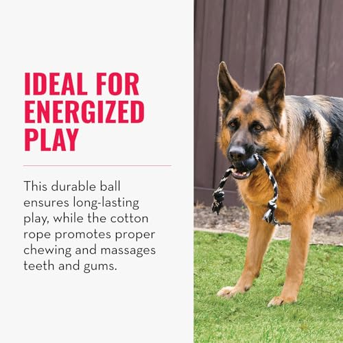 KONG Extreme Ball with Rope - Dog Fetch Toy with Rope for Easy Throwing - Durable Dog Ball Toy for Tug, Playtime & More s Most Durable Natural Rubber - Black - for Large Dogs