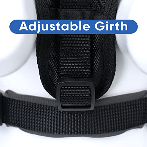 Pawtitas Reflective Padded Dog Harness for Small Dogs – Adjustable Puppy Step-in Vest | Fits Chest 18–22 in | No Pull Personalized Training Harness | S | Black - color: Black, size: Personalized Small (Pack of 1)