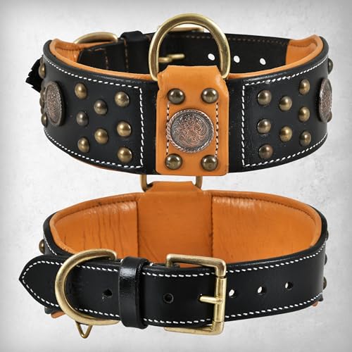 Genuine Leather ‘Cupola’ Series Dog Collar | Celtic Conchos & Gold Dome Rivets | Soft, Cushion Padding, Handmade | Best for Medium, Large, XL Breeds (XL (Neck Size 22.5"-25.5"), Sable Black) - color: Sable Black, size: XL (Neck Size 22.5"-25.5")