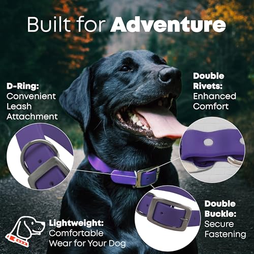 Regal Dog Products Large Purple with Custom Engraved Waterproof Dog Collar and Leash Set | Waterproof Dog Collar with Double Buckle & D Ring - 5'ft Leash | Matching Dog Collar and Leash for Dogs - color: Purple, size: Large Collar with leash