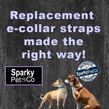 Sparky Pet Co - ECollar Replacement Strap - Easy Release Double Buckle Dog Collar - Rugged Nylon - Adjustable - D Ring - Quick Release Metal Clasp - for Invisible Fence Systems - 3/4" x 24" - Purple - color: Purple, size: 3/4" Wide