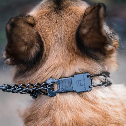 Herm Sprenger Black Stainless Steel Dog Collar with Short Links and Quick Release ClicLock Buckle Made in Germany (20in x 3.0mm (Neck Size up to 16-17in) - color: Black Stainless Steel, size: 3.0 mm x 16-17 in Neck Size; 20 in Chain Length