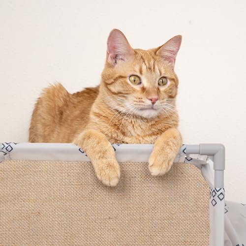 Kitty City Cozy Cat Play Furniture, Hideaway Cat Tunnel