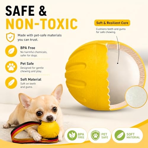 Durable Rubber Dog Ball with Strap - Interactive Fetch/Tug Toy for Aggressive Chewers, Floating Dog Toy for Medium/Large Dogs (Small) - size: Small
