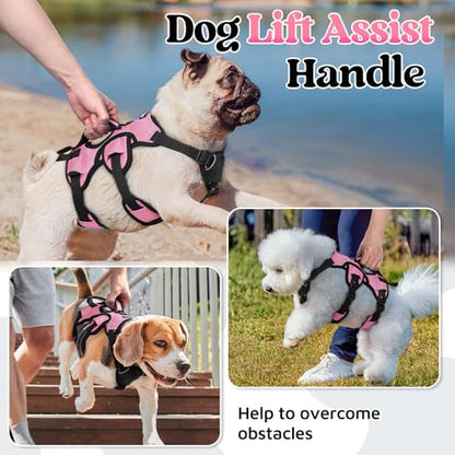 rabbitgoo Escape Proof Dog Harness Small Sized Dog, Soft Padded Full Body Pet Harness, Reflective Adjustable Vest with Lift Handle and Leash Clip for Walking Hiking Training, Light Pink, S - color: Light Pink, size: Small (Pack of 1)