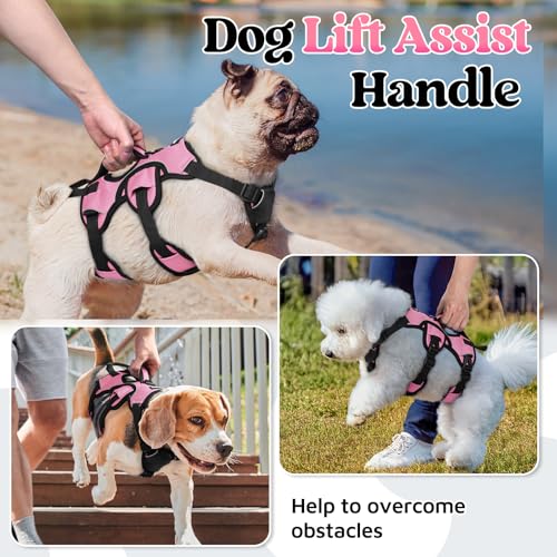 rabbitgoo Escape Proof Dog Harness Small Sized Dog, Soft Padded Full Body Pet Harness, Reflective Adjustable Vest with Lift Handle and Leash Clip for Walking Hiking Training, Light Pink, S - color: Light Pink, size: Small (Pack of 1)