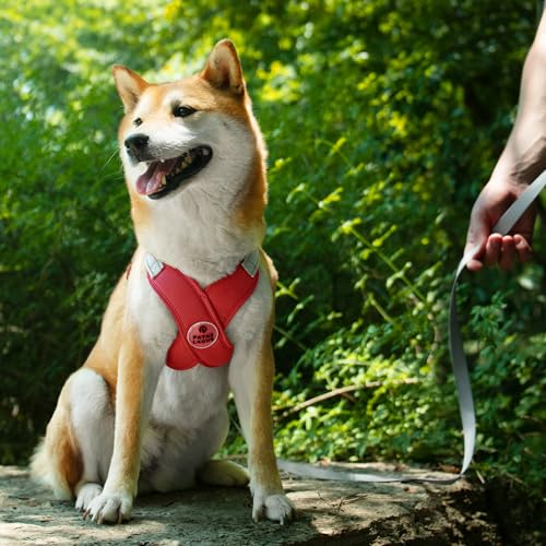 Dog Harness with Leash Set Adjustable Soft Padded Step-in Dog Vest No Choke No Pull Reflective for Small Pets with Poop Bags and Dispenser, Solid and No-chew, Red XS - color: Red, size: XS (Neck 16-19.1'' Chest 18.8-21.5'')