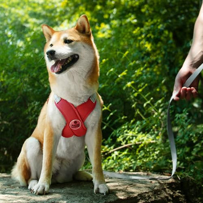 Dog Harness with Leash Set Adjustable Soft Padded Step-in Dog Vest No Choke No Pull Reflective for Small Pets with Poop Bags and Dispenser, Solid and No-chew, Red XS - color: Red, size: XS (Neck 16-19.1'' Chest 18.8-21.5'')