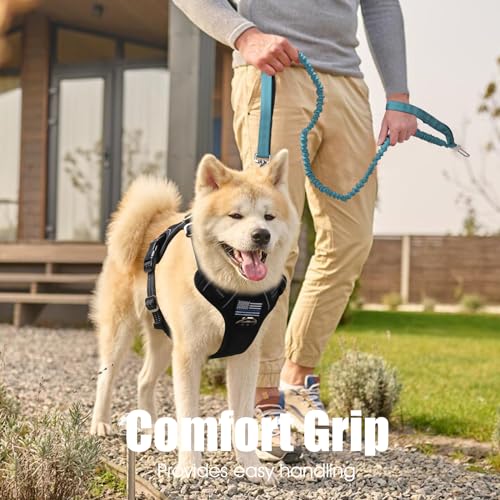 BUMBIN 6Ft Dog Leash Large Dogs, Bungee Dog Leash with 2 Handles, Heavy Duty Leashes for Medium Small Dogs, No Pull Shock Absorbing，with Car Seat Belt for Training, Blue - color: Blue